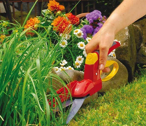 ������� � ��������