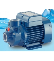 �������� ����� Pedrollo PKSm 60