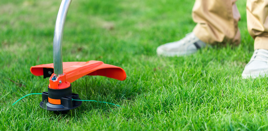 �������� � ���������